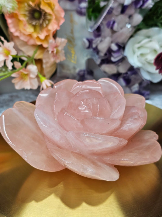 Rosenquarz Rose